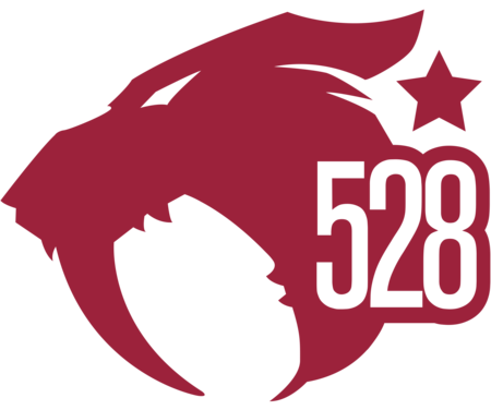 Компания 528 Custom Vapes