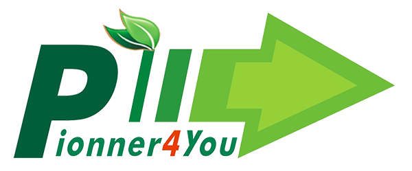 Компания IPV