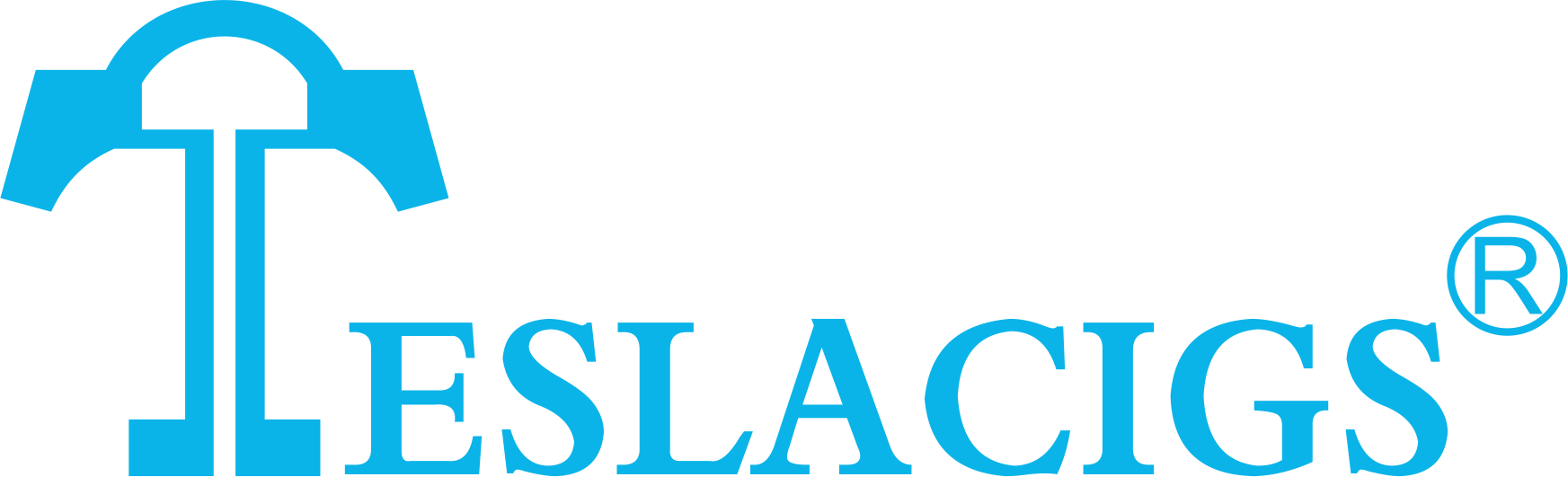 Компания Teslacigs